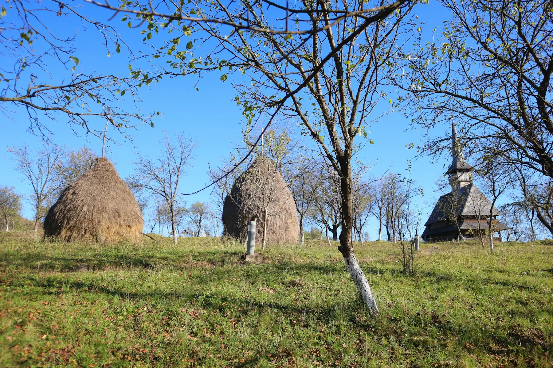 Clăi de fân într-o livadă, cu o biserică de lemn în spate